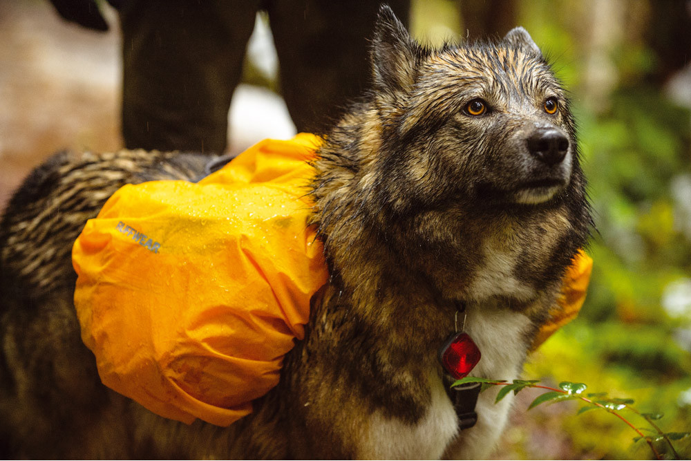 Impermeable Mochilas Ruffwear HI & DRY™