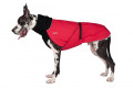 abrigo para perros GREAT WHITE NORTH negro Chilly Dogs alta protección al perro y pelo corto como galgos, whippets toma 4