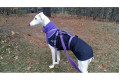 abrigo para perros GREAT WHITE NORTH negro Chilly Dogs alta protección al perro y pelo corto como galgos, whippets toma 15
