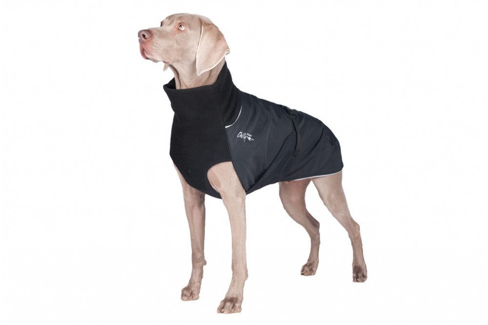 abrigo para perros GREAT WHITE NORTH rojo Chilly Dogs alta protección al perro y pelo corto como galgos, whippets toma 4