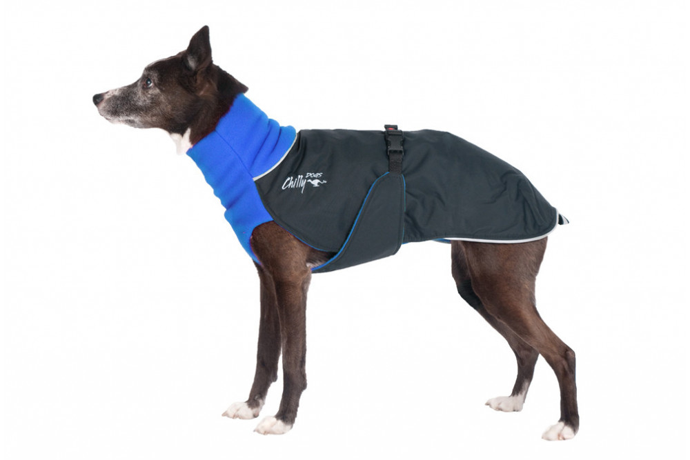 abrigo para perros GREAT WHITE NORTH rojo Chilly Dogs alta protección al perro y pelo corto como galgos, whippets toma 14