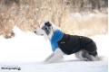 abrigo para perros GREAT WHITE NORTH azul Chilly Dogs alta protección al perro y pelo corto como galgos, whippets toma 9