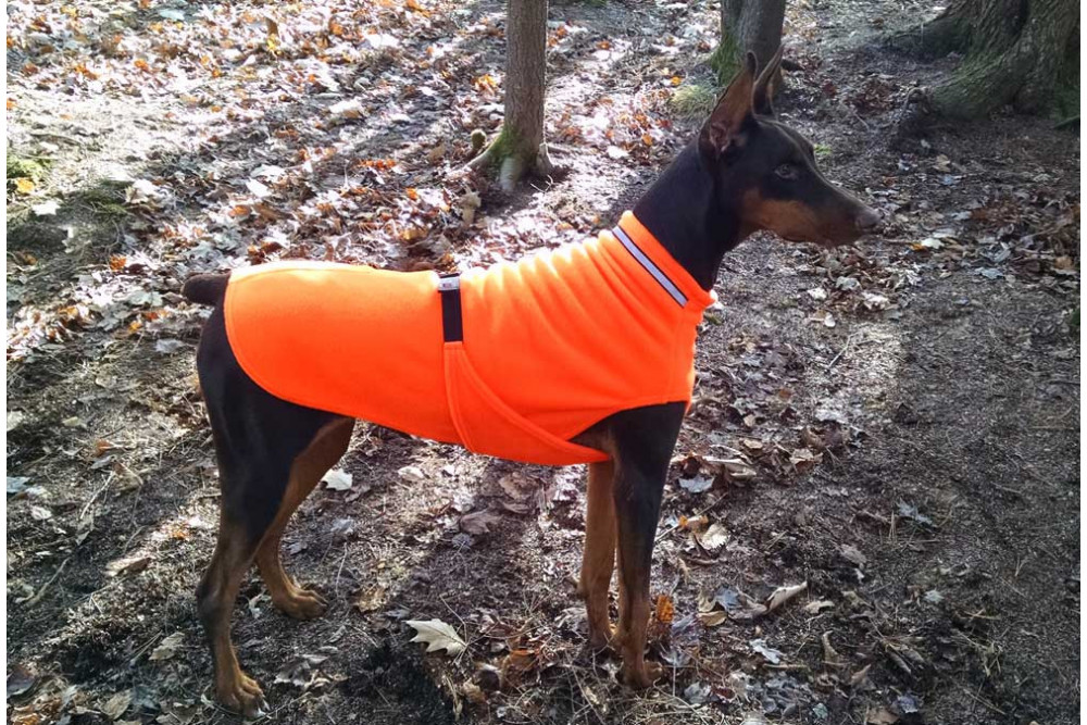 Abrigo polar para perros Chilly SWEATER Negro. Protección contra el frío, viento, agua, lluvia, nieve. toma 7