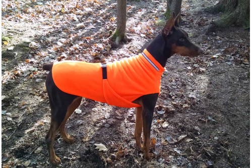 Abrigo polar para perros Chilly SWEATER Negro. Protección contra el frío, viento, agua, lluvia, nieve. toma 7