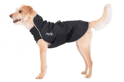 Chubarquero para perros Chilly Harbour Slicker azul, protección tatal a lluvia y viento, nieve… toma 6