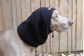 Bufanda circular para perros Chilly, protección y calor en zona de cuello y orejas. tallas para galgos y whippets toma 1