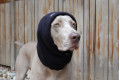 Bufanda circular para perros Chilly, protección y calor en zona de cuello y orejas. tallas para galgos y whippets toma 2