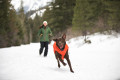 abrigo para perros Ruffwear QUINZEE™ Gris ultraligero y empacable, mantiene caliente en invierno, nieve, senderismo toma 8