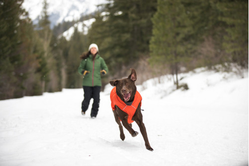 abrigo para perros Ruffwear QUINZEE™ azul ultraligero y empacable, mantiene caliente en invierno, nieve, senderismo toma 8