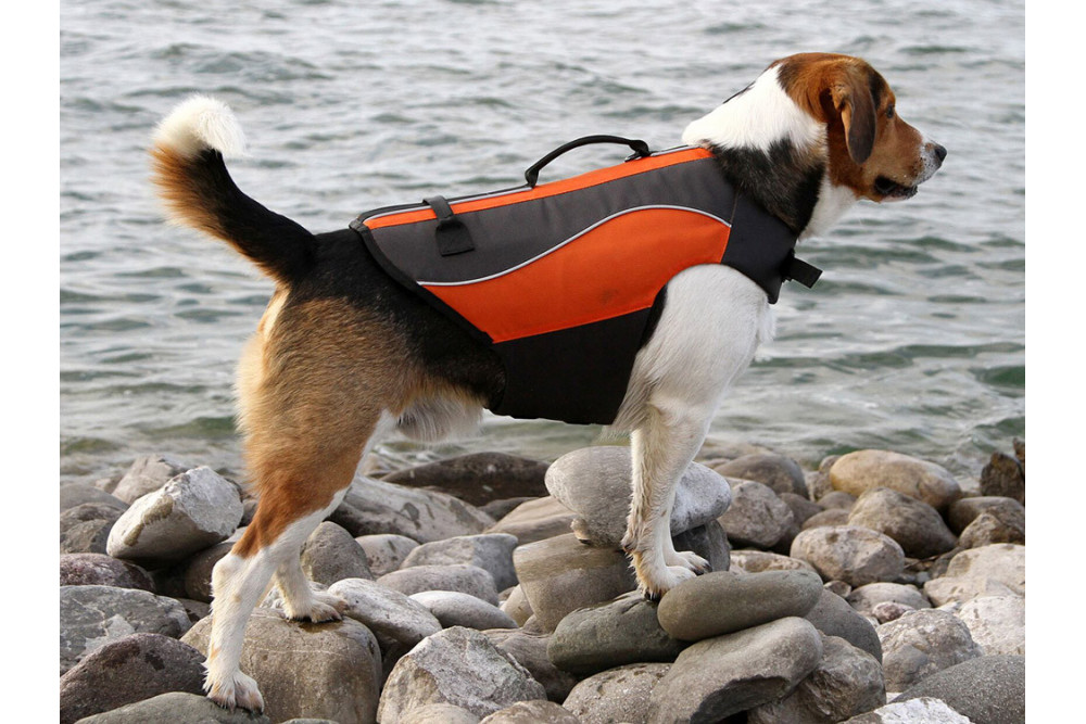 chaleco salvavidas para perros Eqdog CLASSIC LIFE VEST™ seguridad en el agua.  para rafting, navegación, kayak, surf, toma 6