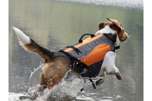 chaleco salvavidas para perros Eqdog CLASSIC LIFE VEST™ seguridad en el agua.  para rafting, navegación, kayak, surf, toma 7