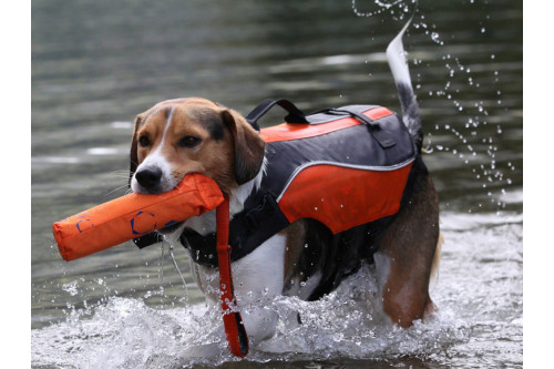 chaleco salvavidas para perros Eqdog CLASSIC LIFE VEST™ seguridad en el agua.  para rafting, navegación, kayak, surf, toma 8