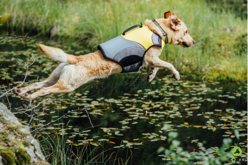 chaleco salvavidas para perros Eqdog PRO LIFE VEST™ seguridad en el agua.  para rafting, navegación, kayak, surf, toma 7