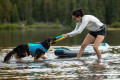 chaleco salvavidas para perros Ruffwear Float Coat™ Azul más flotación y seguridad. rafting, kayak, surfing, paddle. toma 7