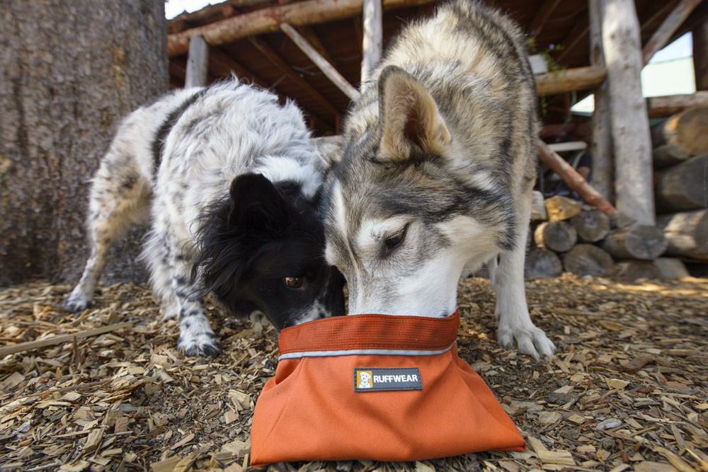 bol plegable para perros Quencher™ Ruffwear ideal para mochila, senderismo, trekking, running, viajes toma 15