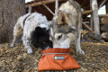 bol plegable para perros Quencher™ Ruffwear ideal para mochila, senderismo, trekking, running, viajes toma 15