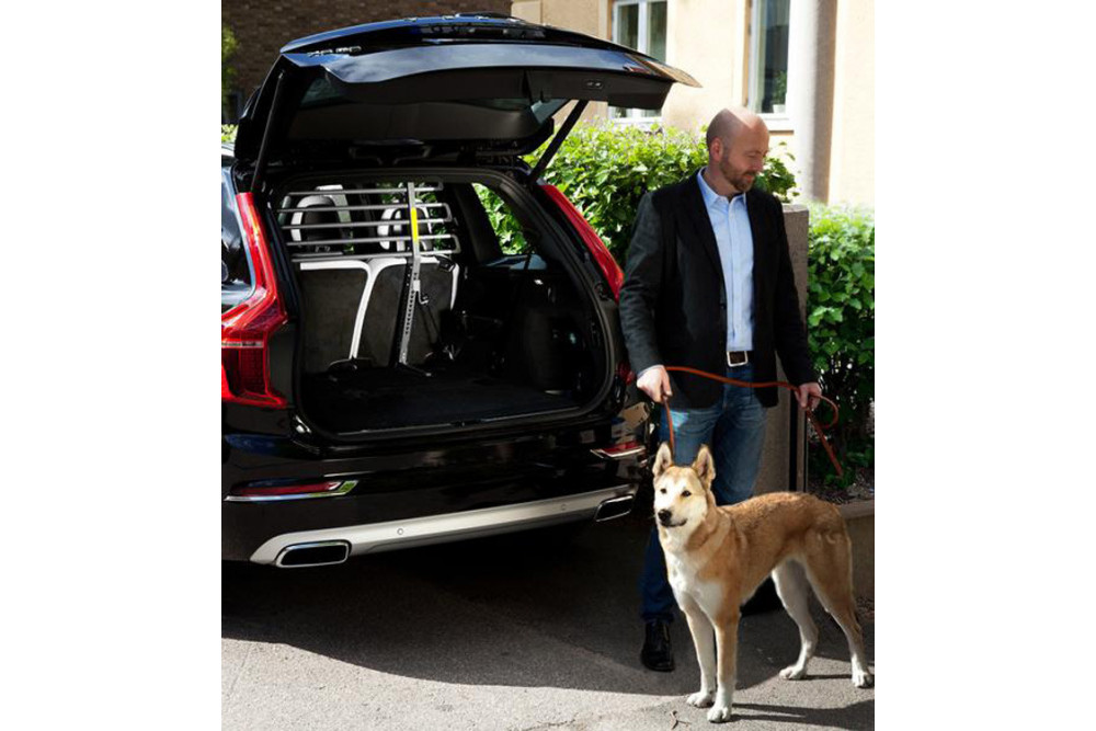 barrera separador de seguridad para perros en coches VarioBarrier  MIMSafe (Suecia) está ensayada en test de impacto toma 4