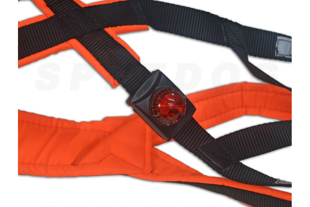 Luz led naranja alta visibilidad y seguridad para perro. Uso en collares, arneses y correas. Resistente, sumergible toma 5