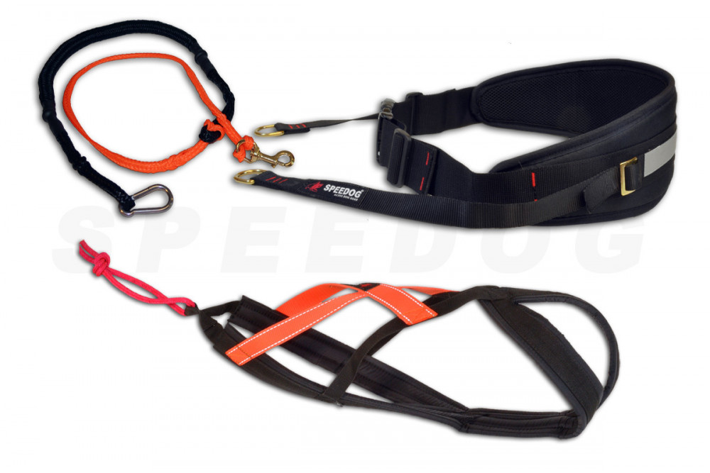 Pack, equipación canicross  Mini Robin Cx-Go. canicross, skijoring, bikejoring,  incluye arnés, cinturón y linea. toma 1