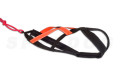 Pack, equipación canicross  Mini Robin Cx-Go. canicross, skijoring, bikejoring,  incluye arnés, cinturón y linea. toma 2