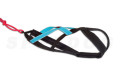 Pack, equipación canicross  Mini Robin Cx-Go. canicross, skijoring, bikejoring,  incluye arnés, cinturón y linea. toma 3