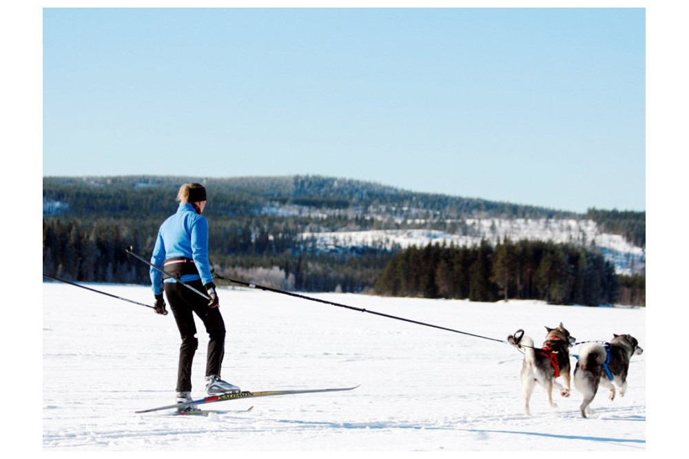 Cinturón canicross skijoring BAGGEN SOFT BELT. confortable en competición.  El cinturón para correr toma 6