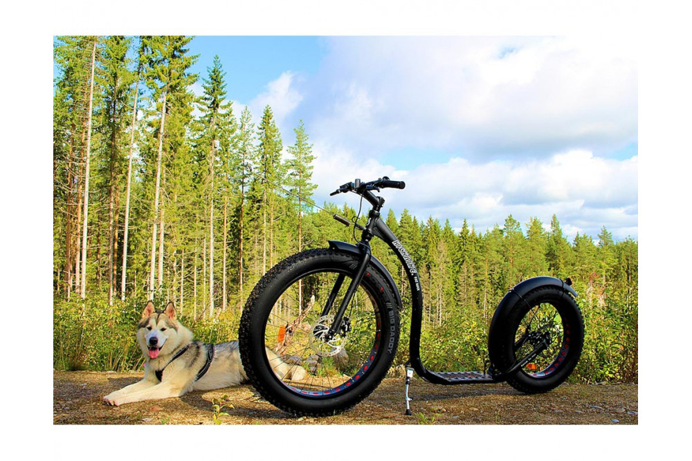 Patinete Kickbike Fat max. Patinetes y scooters para utilizar con perros en bikejoring por montaña, con perros. toma 5