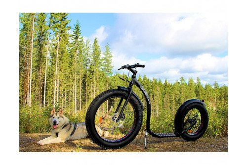 Patinete Kickbike Fat max. Patinetes y scooters para utilizar con perros en bikejoring por montaña, con perros. toma 5