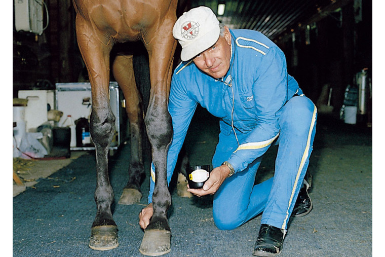 Productos para caballos Fyra Ess (Vitaminas E, B, Ocatacosanol, cremas, pomada). vitaminas y cremas para caballos toma 1 2