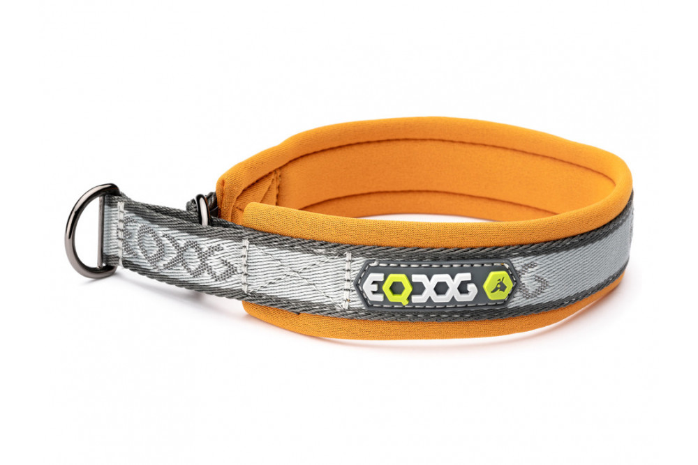 collar para perros Pro Collar naranja Eqdog zona de auto-apriete