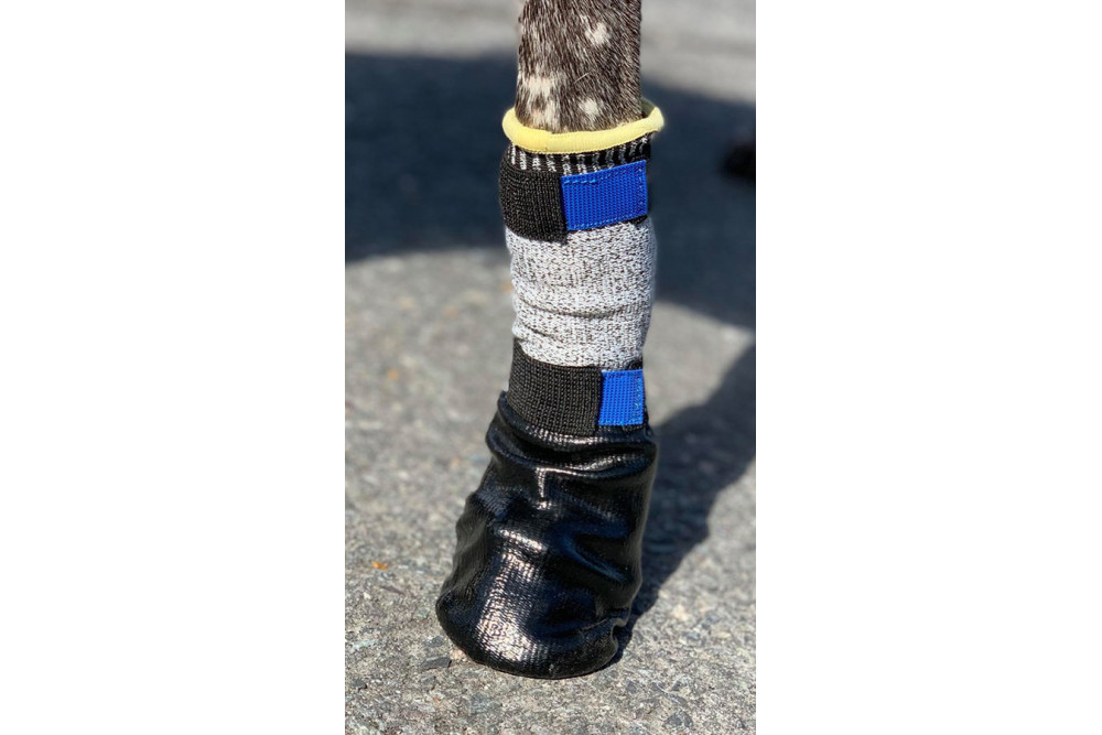 botas zapatos para perros COMFORT-GRIP LONG están para caza, canicross, running, nieve, montaña, heridas. Cómodas perro