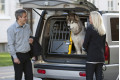 transportin jaula de coche para dos perros Variocage DOBLE L + son los más seguros e innovadores. toma 5