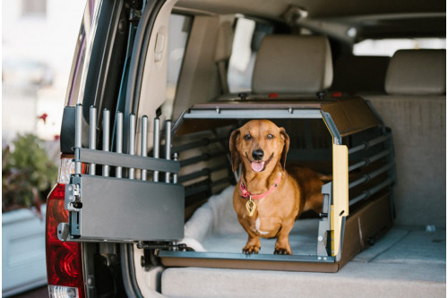 transportin jaula de coche para dos perros Variocage MINI MAX XL son los más seguros e innovadores. MIMSafe Suecia.toma 3