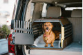 transportin jaula de coche para dos perros Variocage MINI MAX XL son los más seguros e innovadores. MIMSafe Suecia.toma 3