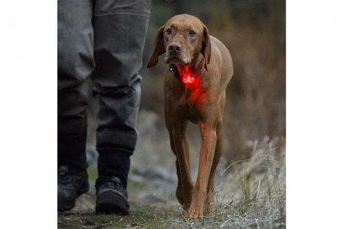 luz de seguridad para perros Ruffwear THE BEACON™ resistente, impermeable, muy visible.  Recargable USB. rojo 3