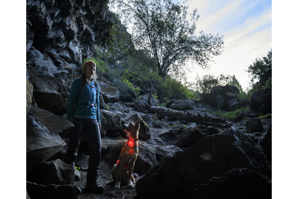 luz de seguridad para perros Ruffwear THE BEACON™ resistente, impermeable, muy visible.  Recargable USB. rojo 4