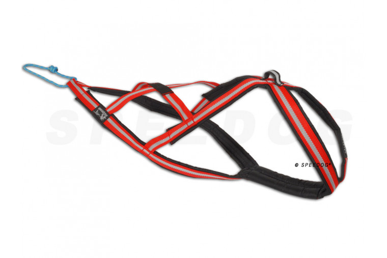 Pack, equipación canicross Dragrattan Xback Cx-Go Plus. canicross, skijoring, bikejoring, incluye arnés, cinturón y linea toma 1 2