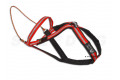 Pack, equipación canicross Dragrattan MultiSport Cx-Go. canicross, bikejoring,  incluye arnés, cinturón y linea toma 2