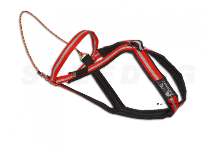 Pack Canicross Dgtt.... 2