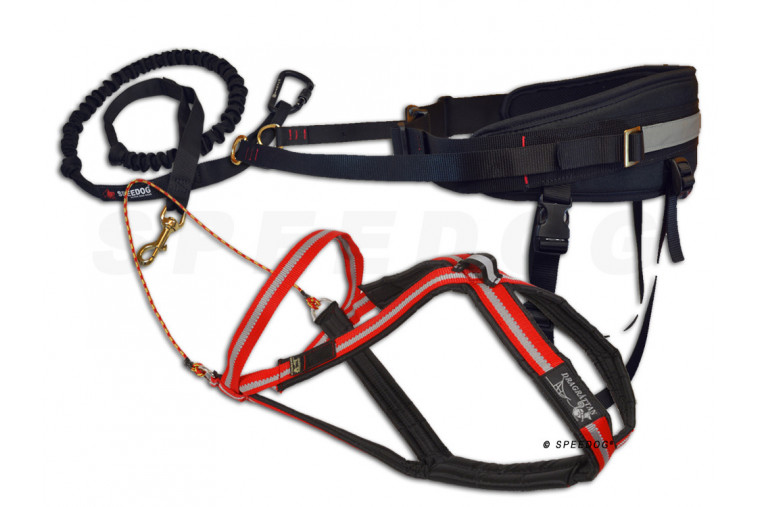 Pack, equipación canicross Dragrattan MultiSport Cx-Go Dual Plus. skijoring, bikejoring,  incluye arnés, cinturón y linea toma 1