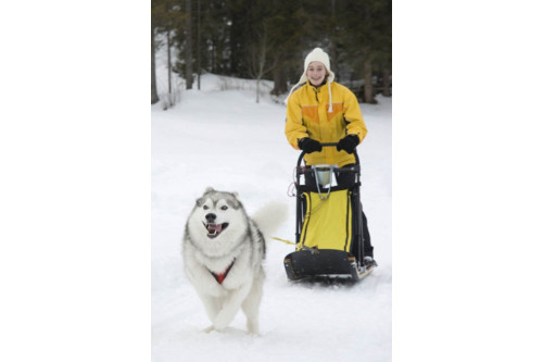 El trineo Danler Husky Buggy está indicado para uso recreacional con perros. Danler (Austria) la innovación y experiencia 2