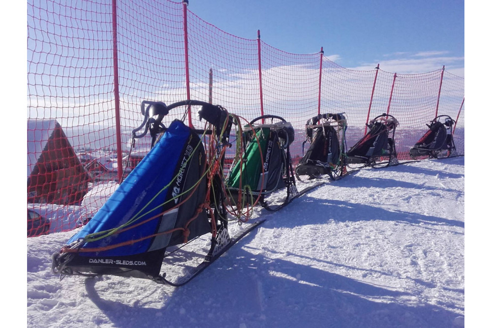 El trineo Danler Hornet XC está indicado para sprint. Danler (Austria) la innovación y experiencia