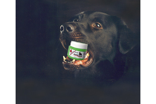 DOG SALVE de Fyra Es pomada crema para tratamiento  cura de las almohadillas plantares de los perros. efectiva. toma 4