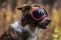 Gafas para perros REX SPECS V2 Black para partículas, sol, problemas oculares. Indicadas para cualquier actividad. toma 12