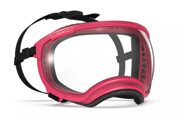 Gafas para perros REX SPECS V2 Yazberry para partículas, sol, problemas oculares. Indicadas para cualquier actividad. toma 1