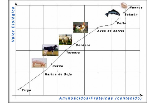 Alimento pienso para perros adultos Henne Kronch a base de salmón fresco. info