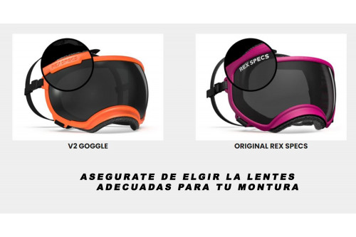 Recambio lentes purple revo V2 para gafas Rex Specs. Protección ojos de los perros rayos UV, traumatismos oculares toma 2