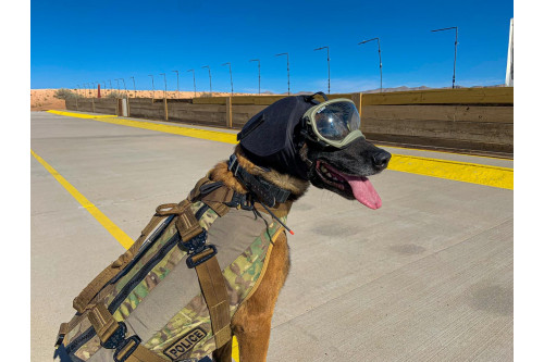 Orejeras Protectoras ruido para perros EAR PRO Rex Specs. evitar la perdida auditiva, usos militar, policia, petardos toma 5