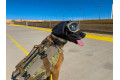 Orejeras Protectoras ruido para perros EAR PRO Rex Specs. evitar la perdida auditiva, usos militar, policia, petardos toma 5