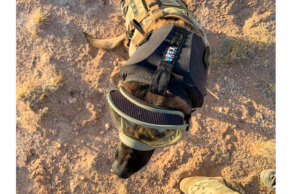 Orejeras Protectoras ruido para perros EAR PRO Rex Specs. evitar la perdida auditiva, usos militar, policia, petardos toma 6